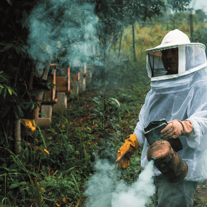 Beekeeper Training